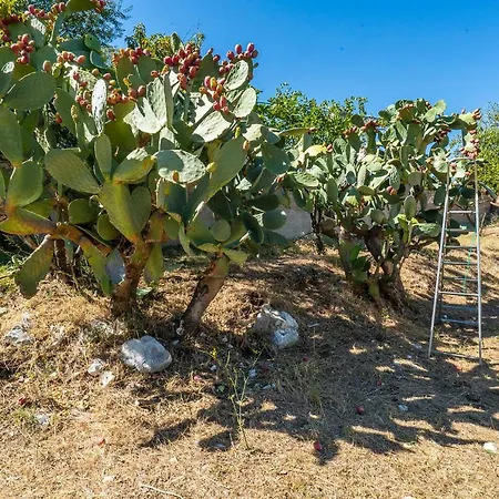 Casa Colletta Frühstückspension 3*