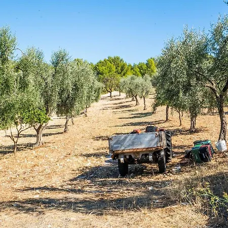 Bed and Breakfast Casa Colletta 3*